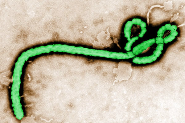 novo surto virus ebola 2018